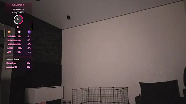 Show webcam de BabySofa