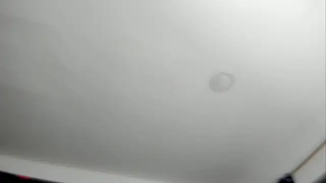 SUBMISSION_BDSM Webcam Show