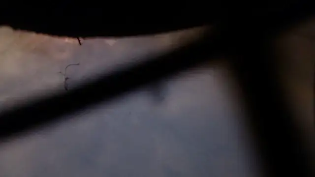 Cordt27 라이브 XXX 채팅