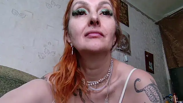 Show webcam de -Fireworks_