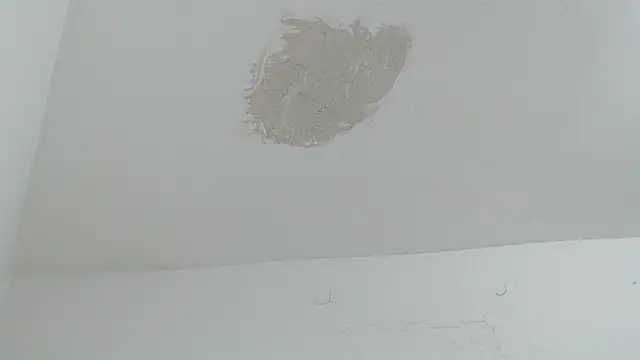 brant_garciabbc Chat XXX in diretta