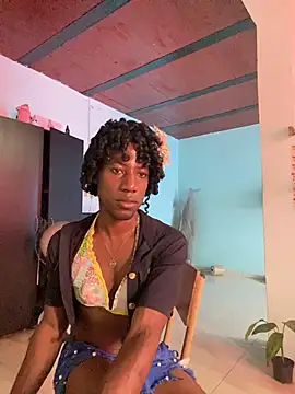 Chatroom XXX en direct de AnelimDagota