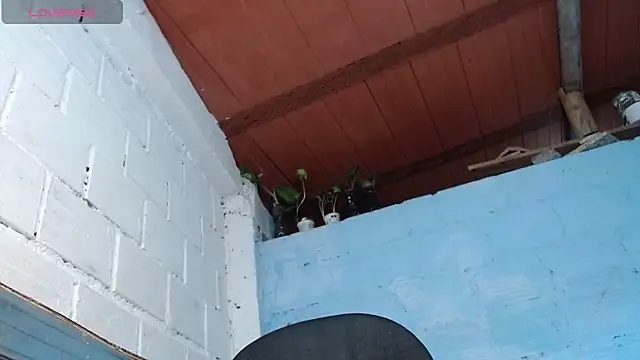 Živý XXX chat jasminne_