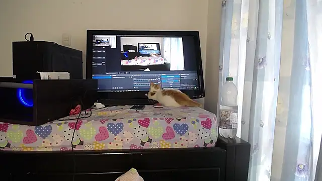 Chatroom XXX en direct de eolicasex