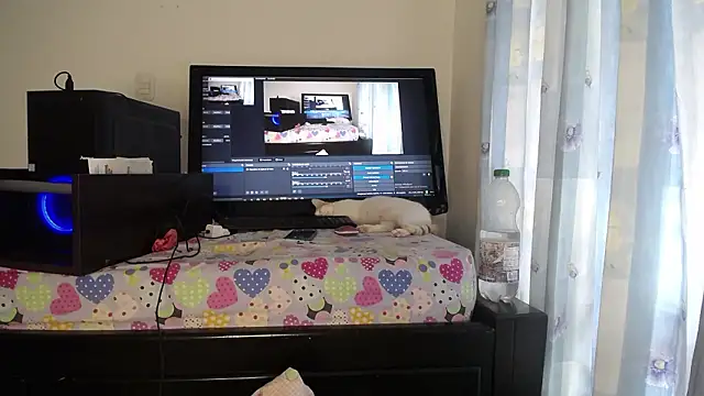 Chat XXX en directo de eolicasex