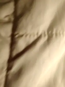 Punjabi_playboy 现场XXX聊天