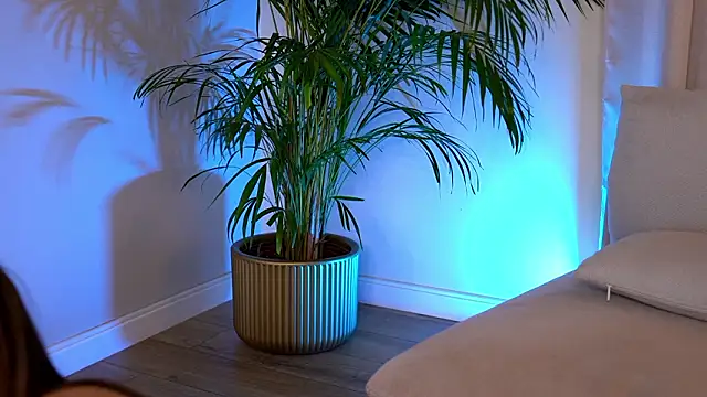 Tinydoll_XO 现场XXX聊天