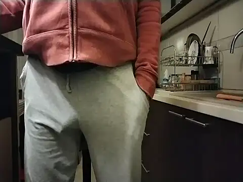 Show webcam de Snajperbaba