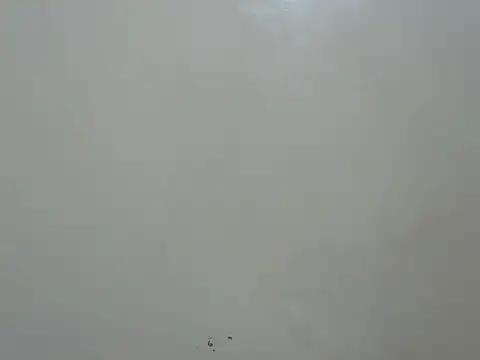 Rasta_tattooedのライブXXXチャット