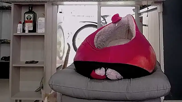 دردشة callme_douglas الجنسية المباشرة