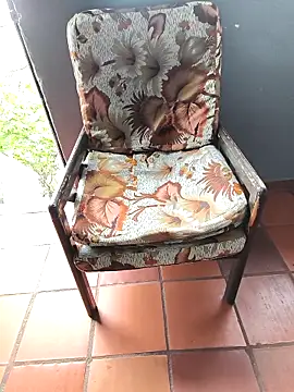 Show Webcam de Blanco2023