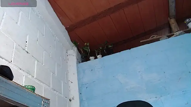 jasminne_ Chat XXX in diretta