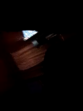 Camodick's Live XXX Chat