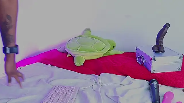 Show webcam de ChannelCox1