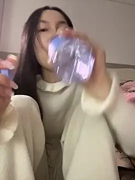 DD-52のウェブカメラショー