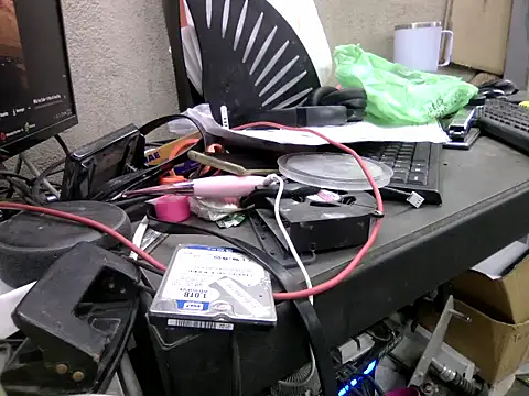 Inxekt: вебкам-шоу