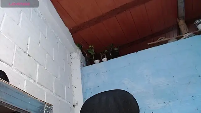 jasminne_ Chat XXX live