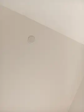 Dante_Knox – Naživo XXX chat