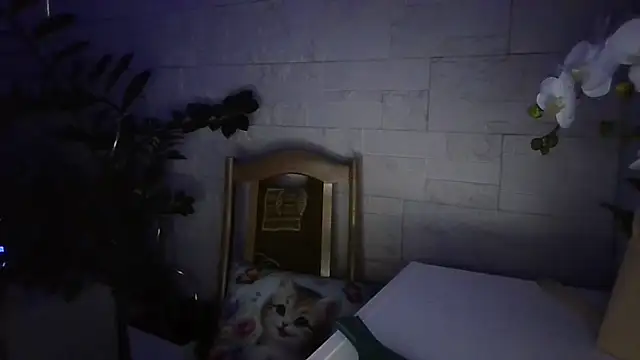 JuliaLovely Live XXX-chat