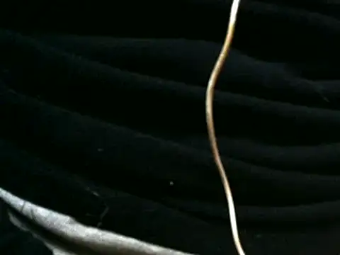 vuran691's Live XXX Chat