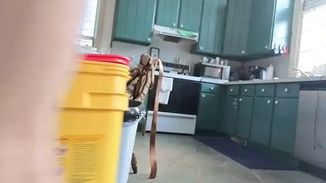 CDforU Show in webcam