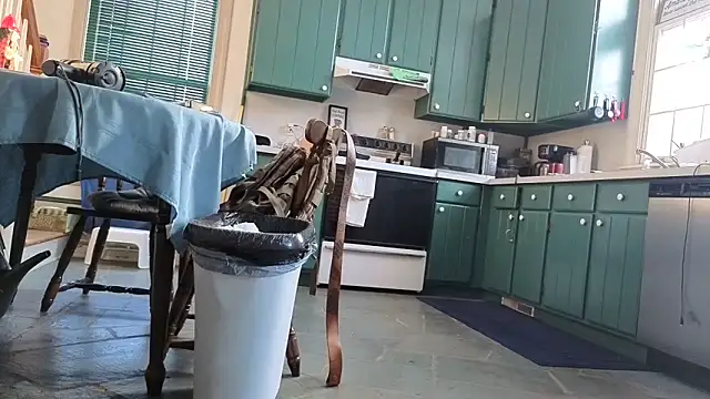 Show Webcam de CDforU