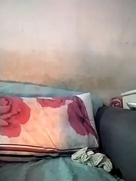 TermedScherzo 即時 XXX 聊天