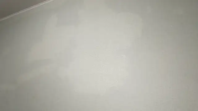 AyanamiPepen Live XXX chat