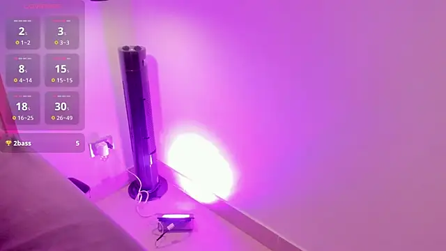 alice_rodmann Webbikameraesitys