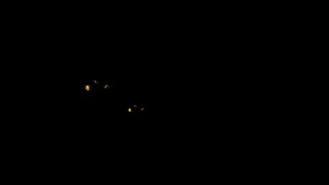 denise_sweetbunnyn Live XXX chat