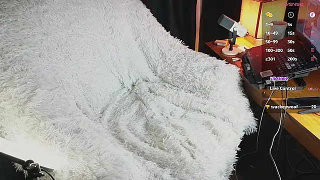 TechnoJesus 网络视讯表演