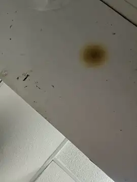 BrittanyDiaz: вебкам-шоу