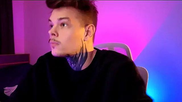 DENIS_HEREのウェブカメラショー