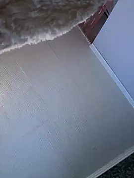 Evelin199n Live XXX chat