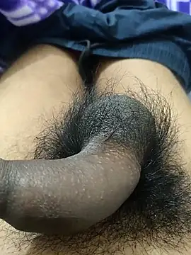 _Stripchat_Owner_ Live XXX-chat