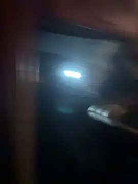 EvaWelly লাইভ XXX চ্যাট