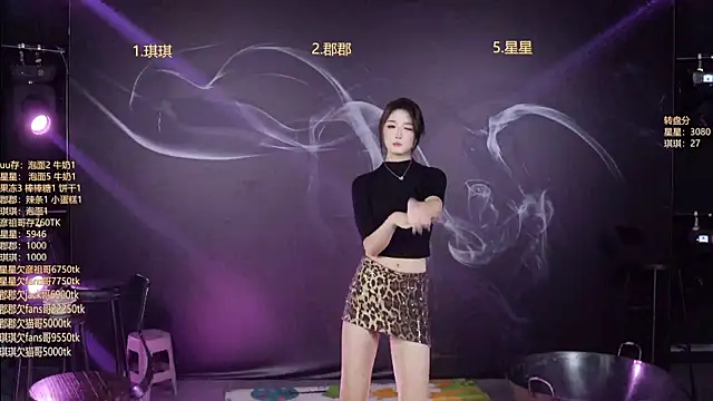 A848-01 Pertunjukan Webcam