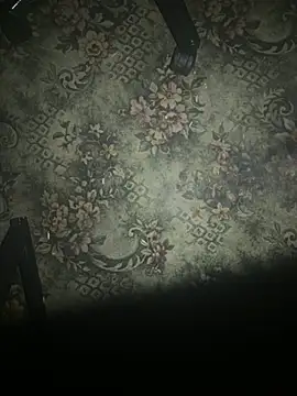 zozo971008 – Kamerová šou