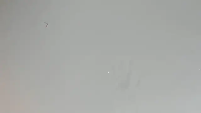 sandyquinnxx Obrolan Langsung XXX