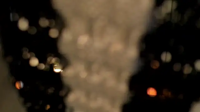 Amy_art Show in webcam