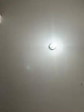 Denise_wolfe21: απευθείας συνομιλία ΧΧΧ