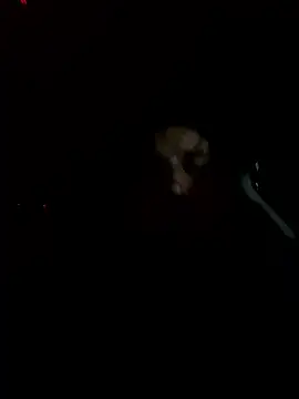 adamann Webbikameraesitys