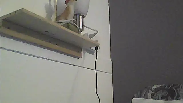 แชท XXX สดของ sarahkat86