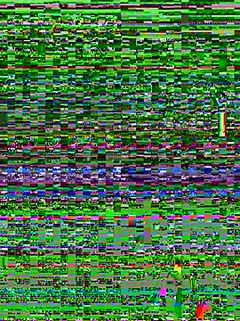 MiaSizzle Live XXX Chat