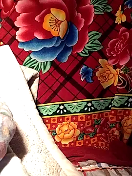 Reina_Fcup01 网络视讯表演