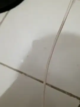 BicornedHoop's Live XXX Chat