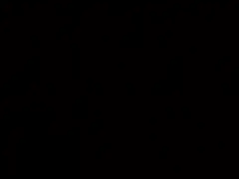 SunnyRays69 现场XXX聊天