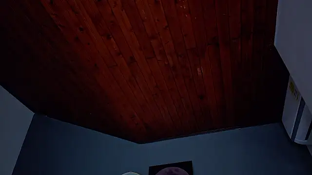 MrFox__ 现场XXX聊天