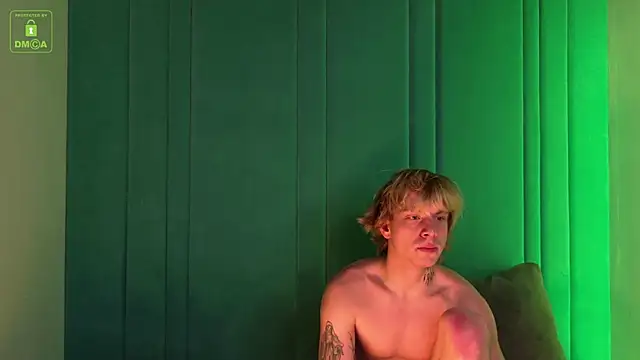 Show modela RyanRife na web-kameri