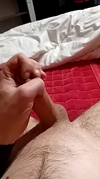 prince34180n Webbikameraesitys